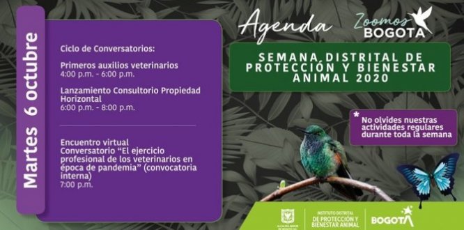 Hoy ciclo de conversatorios en la Semana Distrital de Protección y Bienestar Animal 2020 #ZoomosBogotá 
