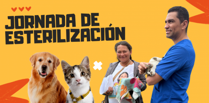 Banner Jornada de esterilización