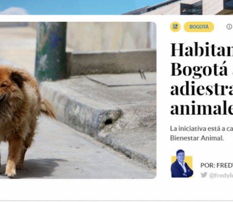 Habitantes de calle de Bogotá aprenden a adiestrar a sus animales de compañía