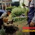 En Los Mártires con huertas comunitarias cosechamos vida
