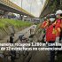 Más de 60 funcionarios recuperan 1.200 m² en Canal Comuneros 