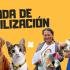 Banner Jornada de esterilización