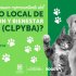 Foto con información sobre convocatoria para integrar el consejo de protección animal